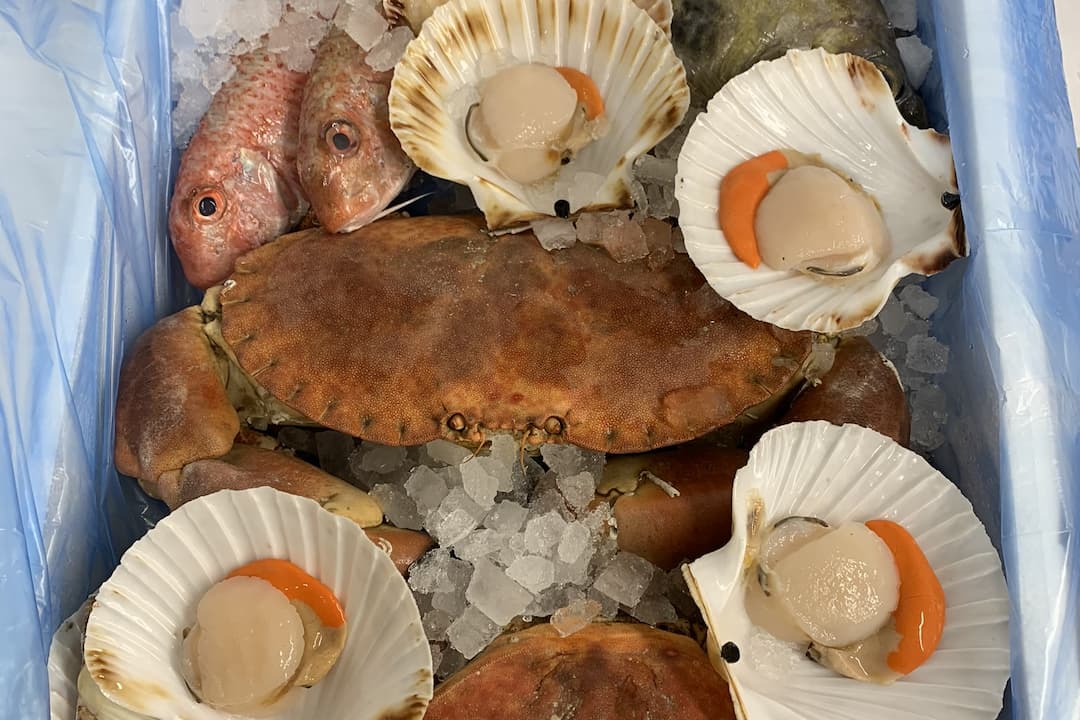 Wholesale Fish Deliveries Nationwide Order Fresh Tray Pack Fish