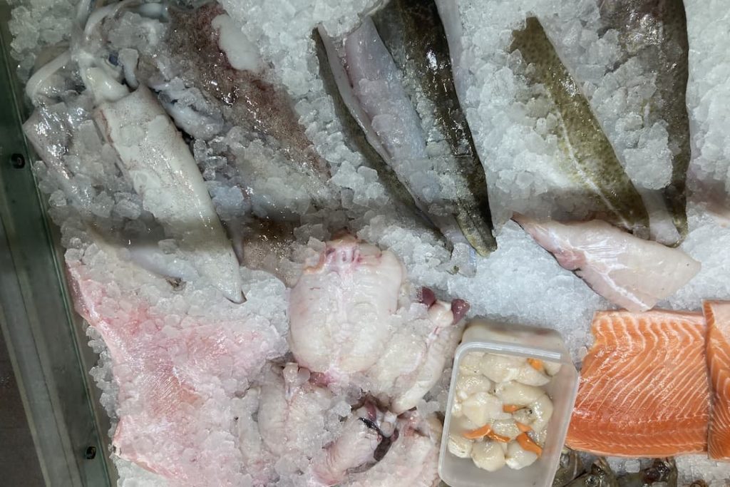 Selection of fish on ice